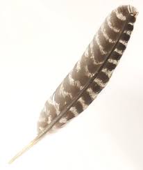 feather
